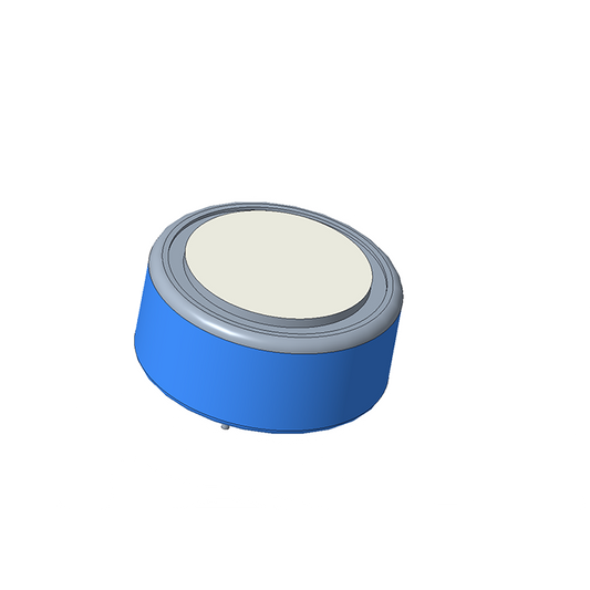 GS500 H2S Sensor